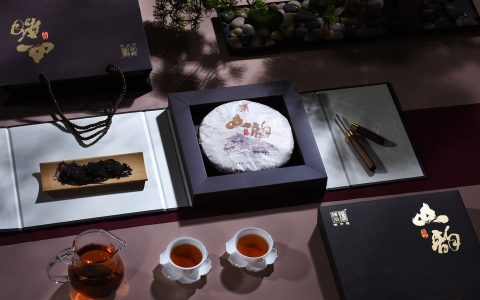 家里闲置陈升号普洱茶别吃灰！专业回收渠道 + 变现攻略速看