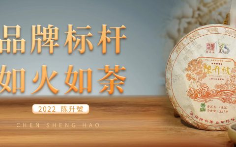 陈升号普洱茶冲泡禁忌，你知道几个？