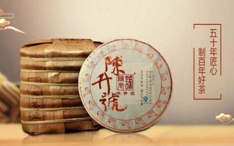 普洱茶爱好者必看！陈升号普洱茶真伪鉴别全攻略