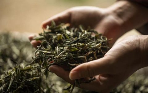 普洱存茶：避开 4 个误区，让茶越陈越香