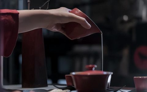 新手喝普洱：别被 “越陈越香” 误导的 3 个认知